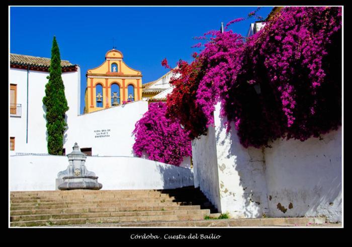 קורדובה Centro Historico Cristo De Los Faroles La Preferida מראה חיצוני תמונה
